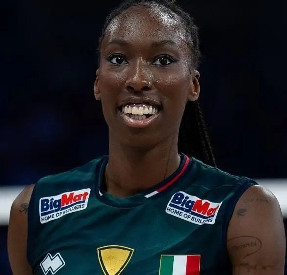 女排的季雨 女排的季雨