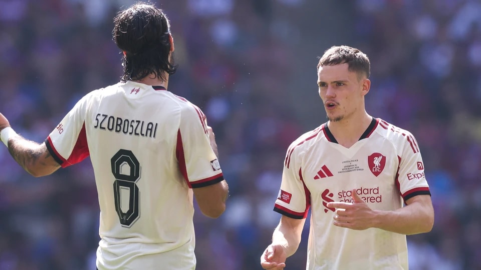 得了令人印, 维尔茨说 得了令人印, 维尔茨说