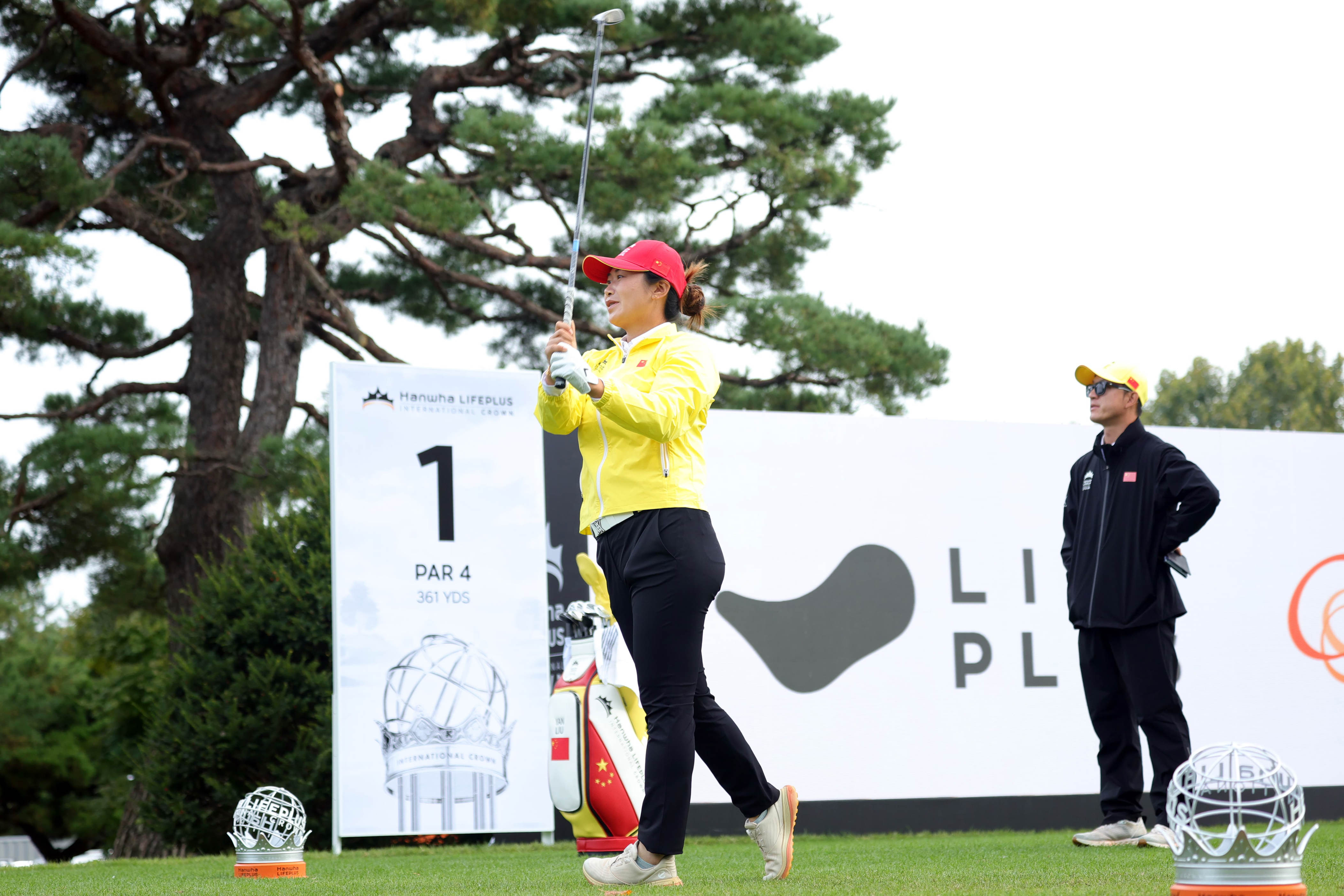 新人, AA 新人, AA